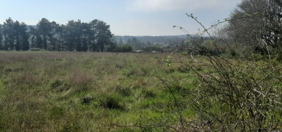 Terrain à bâtir à Lombron, Pays de la Loire