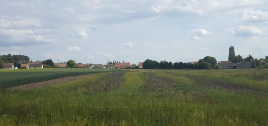 Terrain à bâtir à Cérans-Foulletourte, Pays de la Loire