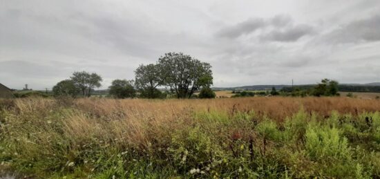 Terrain à bâtir à Souligné-Flacé, Pays de la Loire