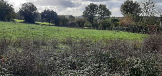 Terrain à bâtir à , Sarthe