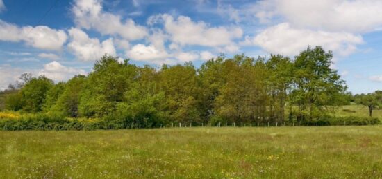 Terrain à bâtir à Yvré-l'Évêque, Pays de la Loire